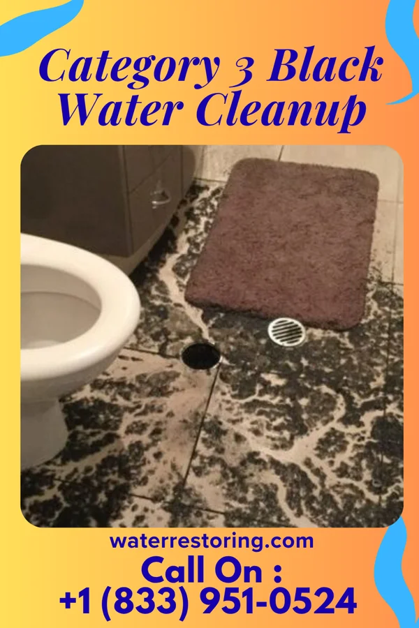 Category 3 Black Water Cleanup in Puzzletown, PA