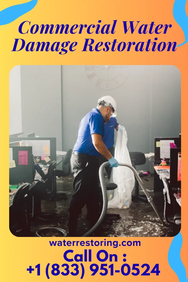 Commercial Water Damage Restoration in Puzzletown, PA