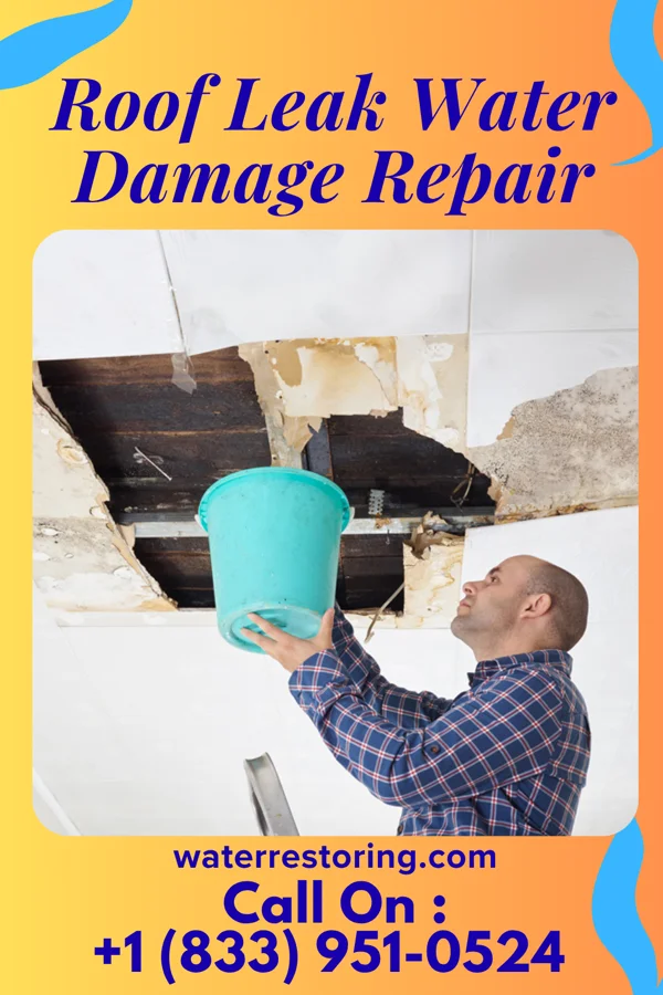 Roof Leak Water Damage Repair in Puzzletown, PA
