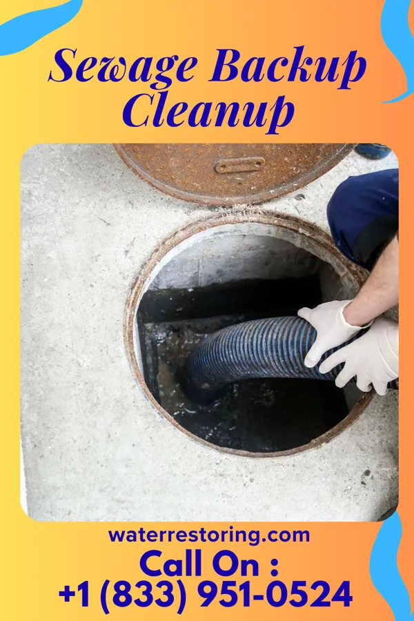 Sewage Backup Cleanup in Puzzletown, PA